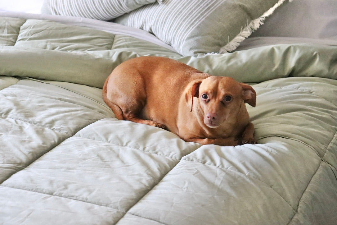 ZipAway Comforter