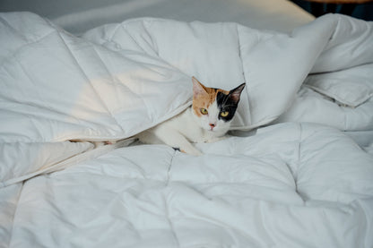 ZipAway Duvet Insert